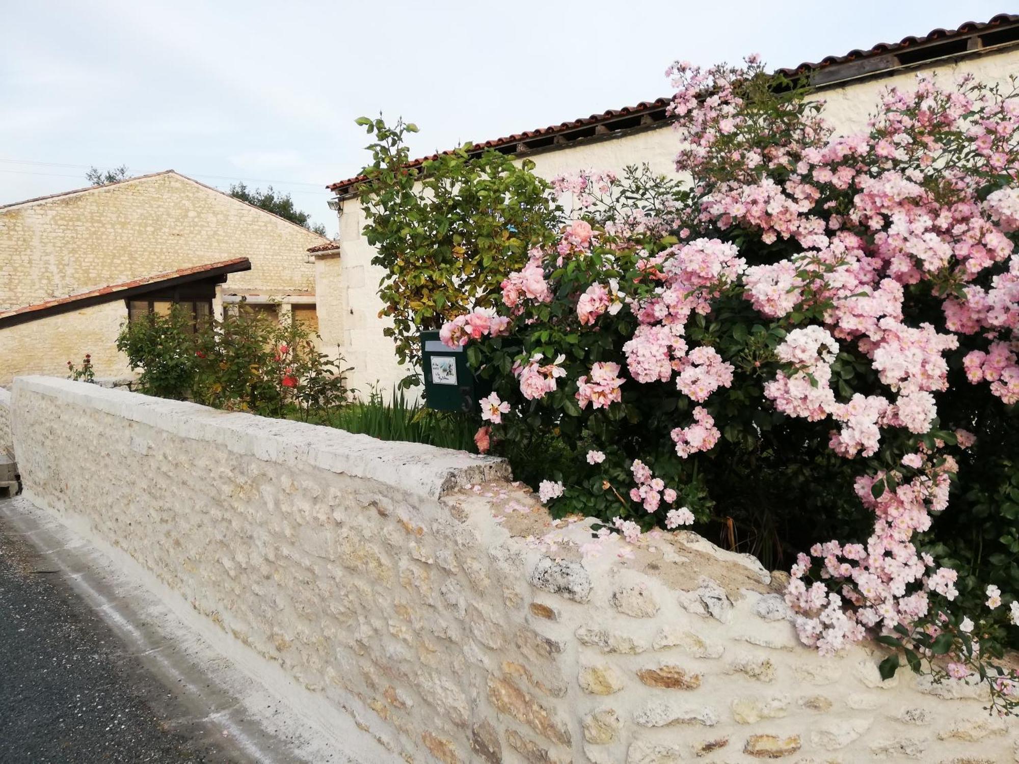 Gites Chez Belliveau Meursac Ngoại thất bức ảnh